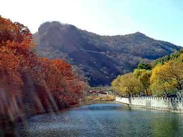 天天彩好彩天天免费，南京排水板